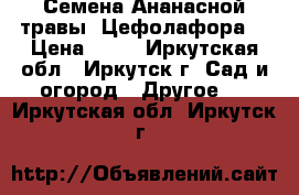 Семена Ананасной травы (Цефолафора) › Цена ­ 50 - Иркутская обл., Иркутск г. Сад и огород » Другое   . Иркутская обл.,Иркутск г.